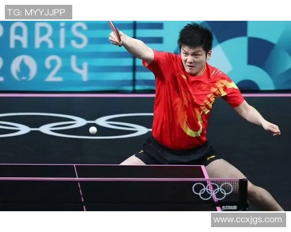 卡塔尔马龙与樊振东巅峰对决乒乓球赛精彩回顾与分析