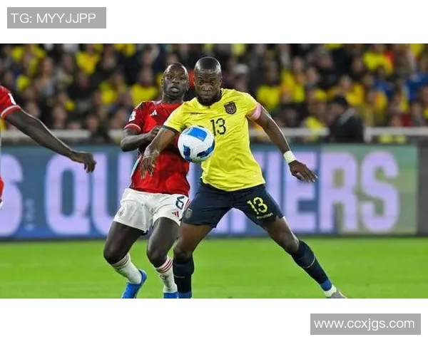 厄瓜多尔与法国足球对决专家分析汇总及比赛前瞻