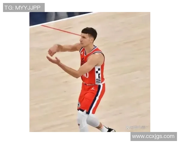 博格丹博格达诺维奇的篮球生涯与成就分析 博格丹博格达诺维奇的篮球生涯与成就分析