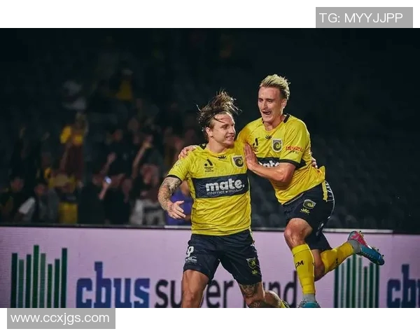 悉尼FC迎战新城堡联队期待精彩对决展现足球魅力与激情