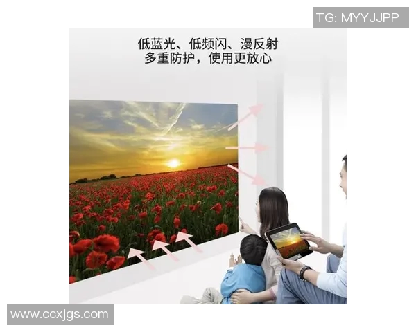 探索vs12618投影机的卓越性能与应用场景，提升您的视听体验