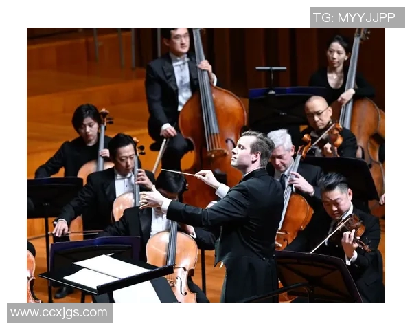 斯通斯乐队的音乐传奇与文化影响力探讨