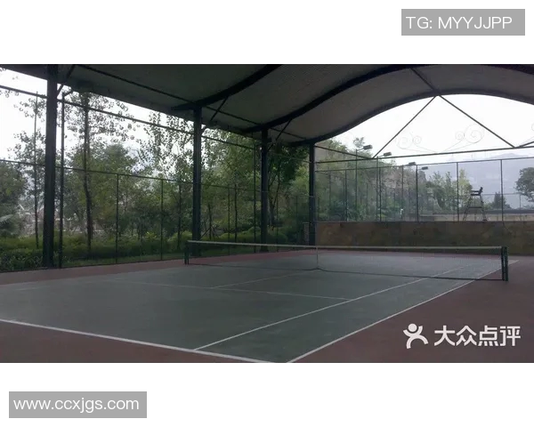 重庆网球队包夹战术解析与网球热点动态探讨 重庆网球队包夹战术解析与网球热点动态探讨