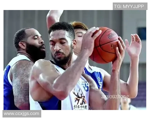 陕西信达对决东方雄鹿精彩赛事回顾与分析