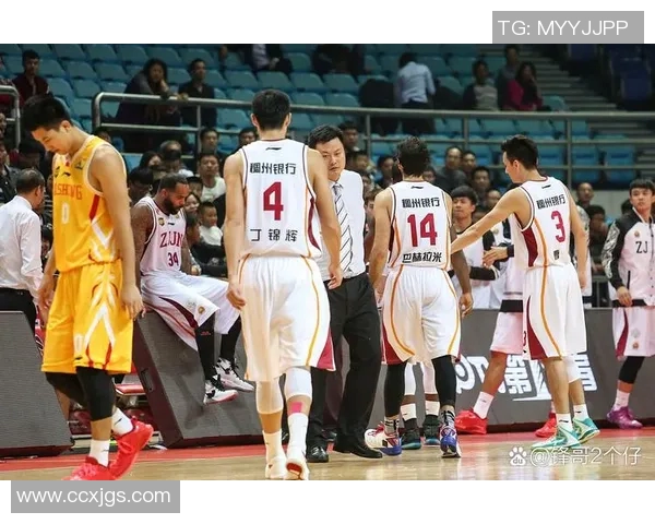 CBA精彩对决青岛队迎战浙江队双方全力争夺季后赛名额 CBA精彩对决青岛队迎战浙江队双方全力争夺季后赛名额