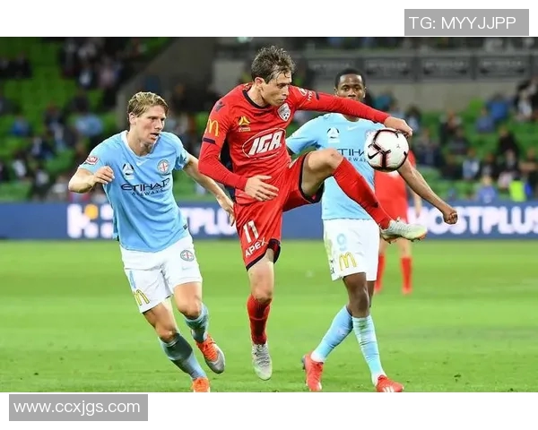 中央海岸对阵惠灵顿比赛结果分析与精彩瞬间回顾